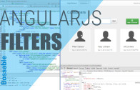 MEAN Stack – Customer Search using AngularJS Filters – Day 18