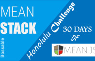 The 30 Day MEAN Stack Honolulu Challenge